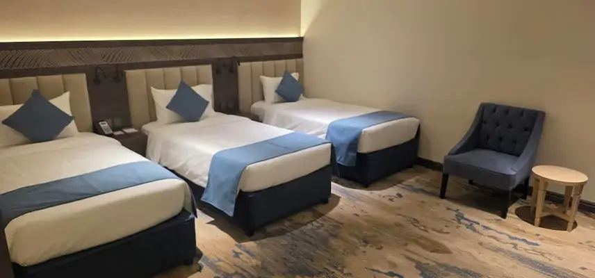 Sedra Global Hotel image